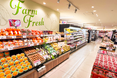 トップパルケ 久地店