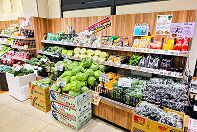トップパルケ 松原店
